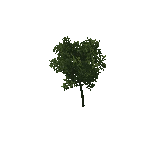 HVR Tree V01 T05 C01